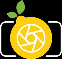 Lemon Studio logo